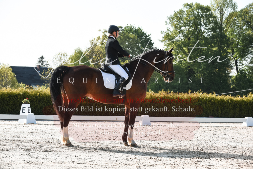 20230518_JK-Röhrsdorf-09-0681 | Pferde- und Turnierfotografie in Westsachsen. Pferdeportraits, Auftragszeichnungen und intuitive Kunst.