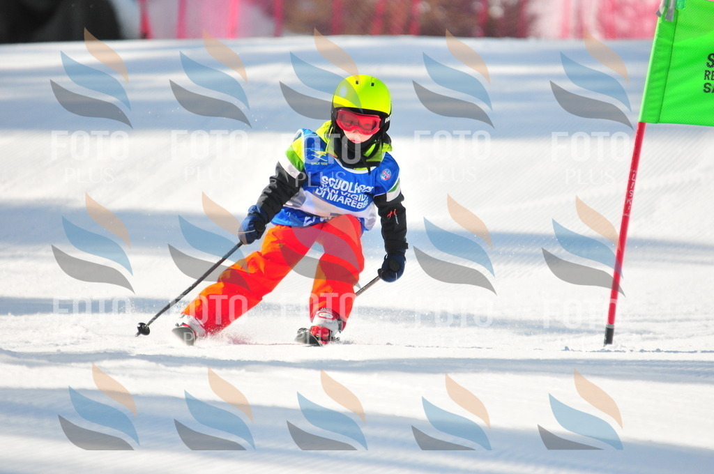 B9014 | holidayphoto