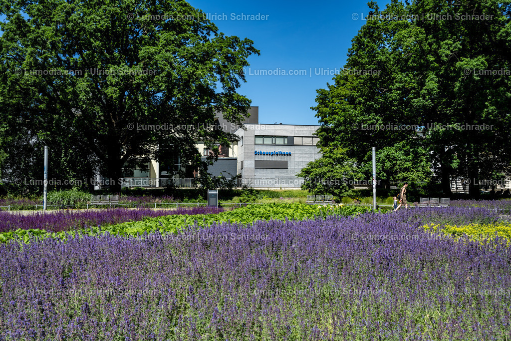 10049-12367 - Magdeburg _ Landeshauptstadt von Sachsen-Anhalt | Stockfoto und Bilderpool mit Bildmaterial aus Deutschland, dem Harz, Halberstadt, Quedlinburg, Wernigerode und weltweit. Qualitativ hochwertige und professionelle Fotos anschauen und kaufen. - Realisiert mit Pictrs.com
