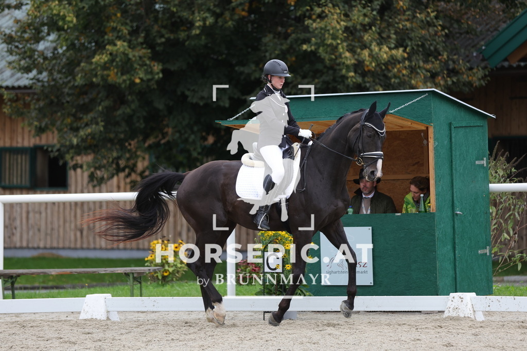 0P6A8883 | Willkommen bei Brunnmayr - Design & Fotografie – Ihrem Spezialisten für Reitturniere und Pferdeveranstaltungen in Oberösterreich, Salzburg und Bayern! Seit über 17 Jahren sind wir leidenschaftlich dabei.