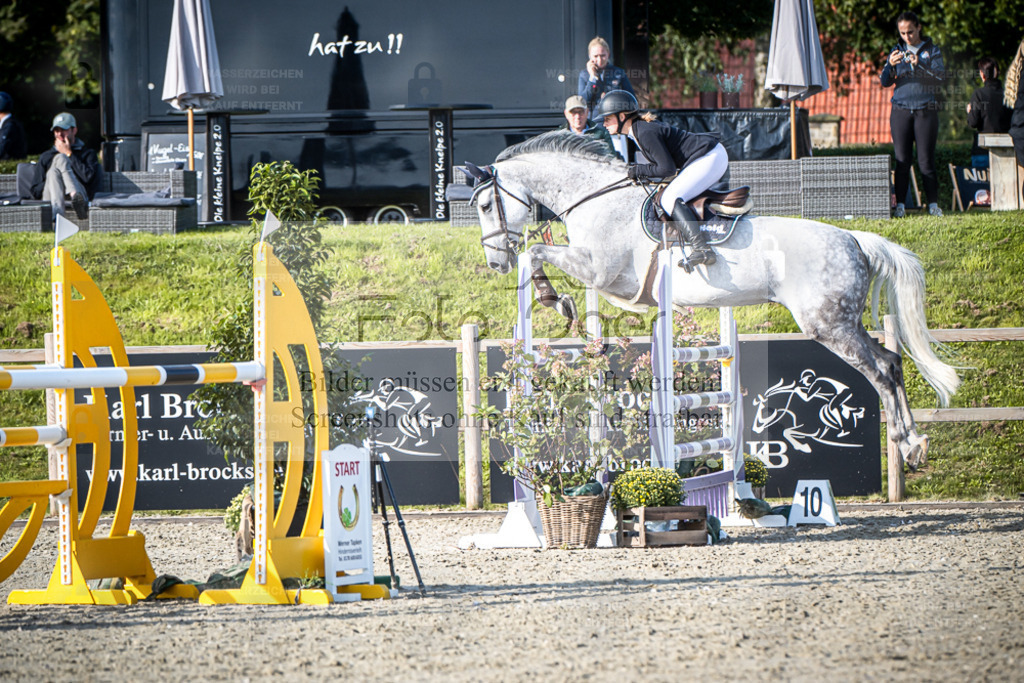 DOS_5247 | Entdecke hochwertige Reitturnierfotos von Foto Oger. Professionell, emotional und authentisch – jetzt Lieblingsmomente im Shop bestellen. - Realisiert mit Pictrs.com