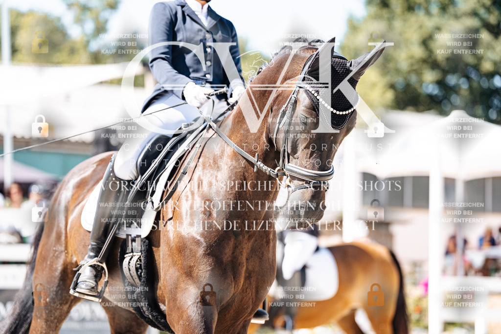 CK900252 | Turnierfotografie Pferdefotografie Trier Rheinland-Pfalz Pferdesport Reitsport Tierfotografie Sportfotografie Pferdevideo Pferdevideografie Equestrianvideography equestrianphotography  - Realisiert mit Pictrs.com