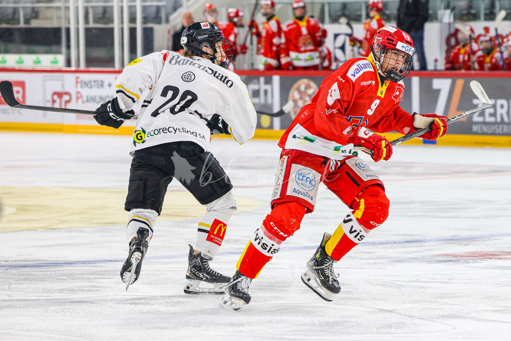 701A3097 | Sportbilder, Sportfotograf, Hochzeits- und Eventfotografin, Flugshows, Portraits und Tiershooting, Aviation, Downhill, Nationalleague, Swissleague, International