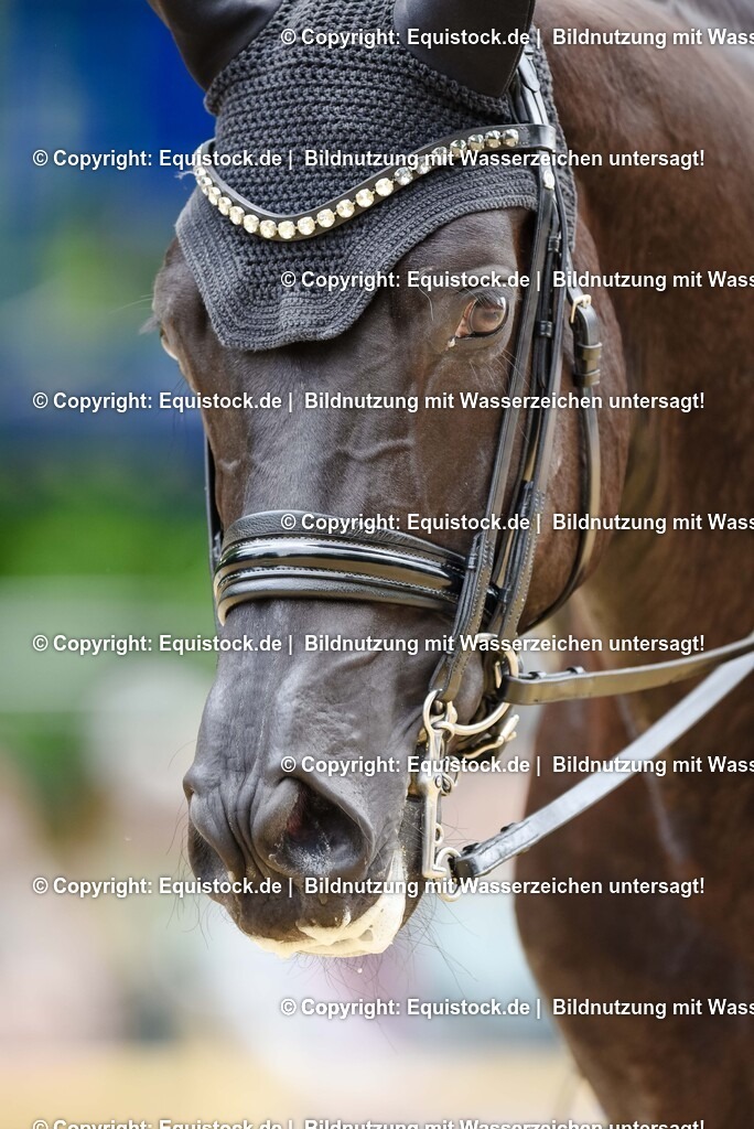 20250608_03_GP-Special-Tour_0590 | Foto: Thomas Hartig