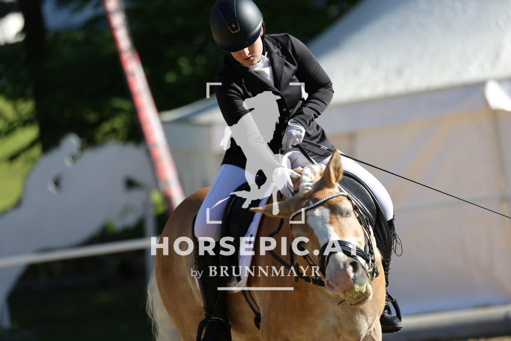 0P6A9370 | Willkommen bei Brunnmayr - Design & Fotografie – Ihrem Spezialisten für Reitturniere und Pferdeveranstaltungen in Oberösterreich, Salzburg und Bayern! Seit über 17 Jahren sind wir leidenschaftlich dabei.