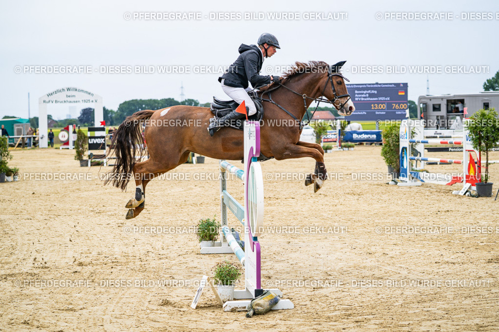 DSC06594 | Pferdegrafie