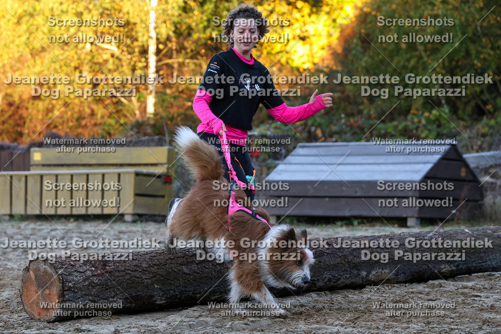 Dog Paparazzi - Strongdog 10-25-403 | Dog Paparazzi Jeanette Grottendiek Fotografie & Videografie - Realisiert mit Pictrs.com