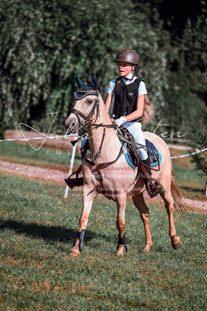 DSC_1073 | Pferde- und Turnierfotografie in Westsachsen. Pferdeportraits, Auftragszeichnungen und intuitive Kunst.