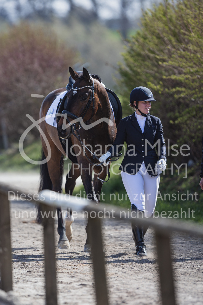 230410_Frühlingsfest_Dressurpf-M-107 | Deine schönsten Turniermomente als professionelle Fotos! Entdecke hochwertige Pferdesport-Fotografie im Online-Shop. Jetzt Fotos finden & bestellen!