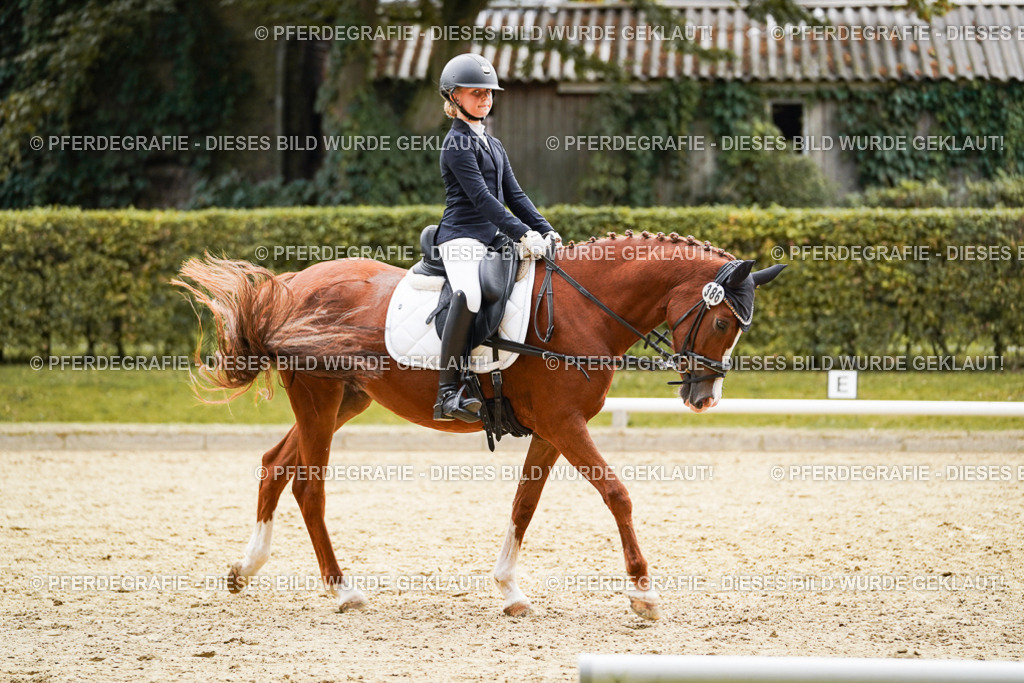 DSC09468 | Pferdegrafie