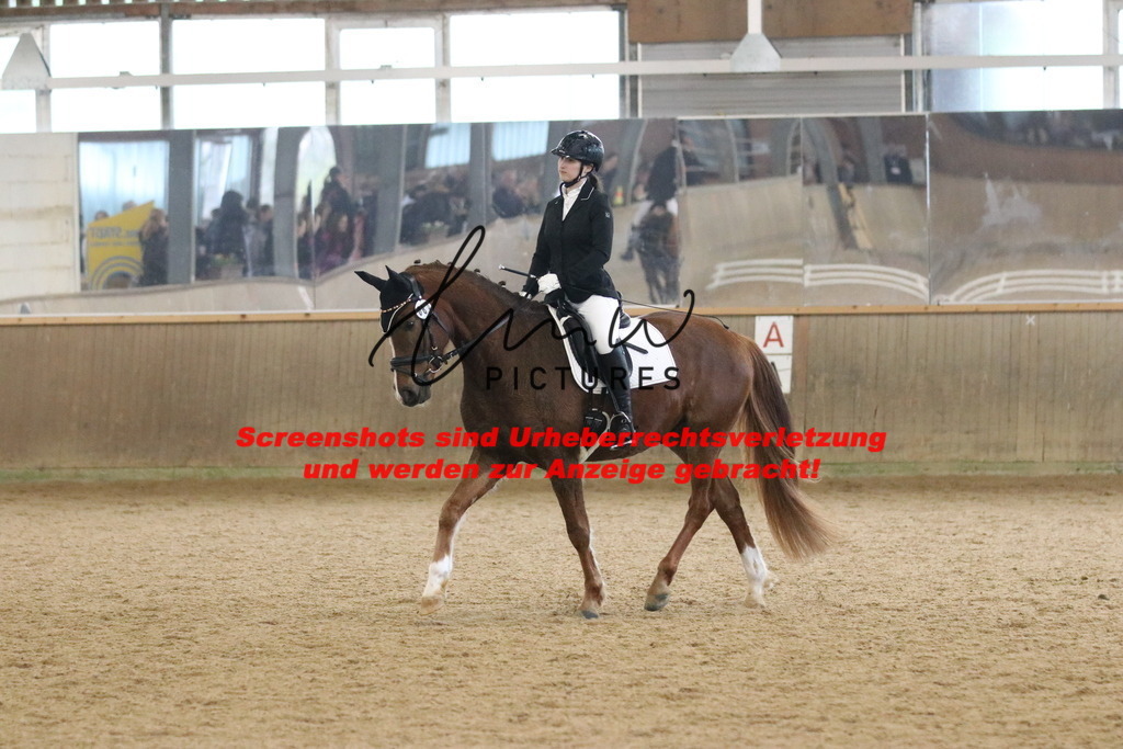 IMG_4320 | lmwpictures - Realisiert mit Pictrs.com