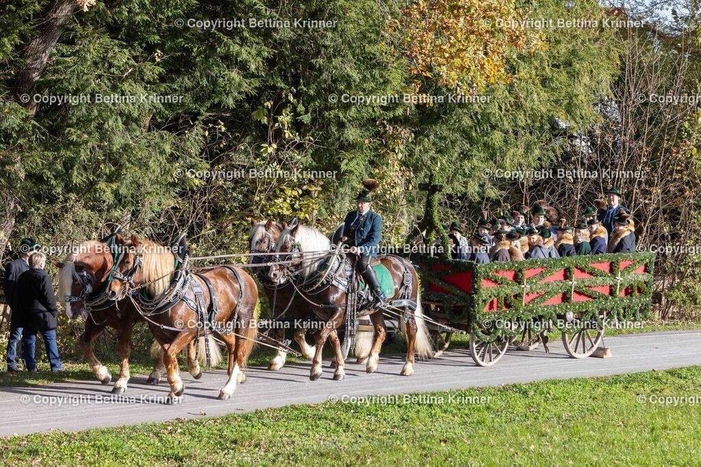 LBT24-149 | foto-bettina-krinner - Realisiert mit Pictrs.com