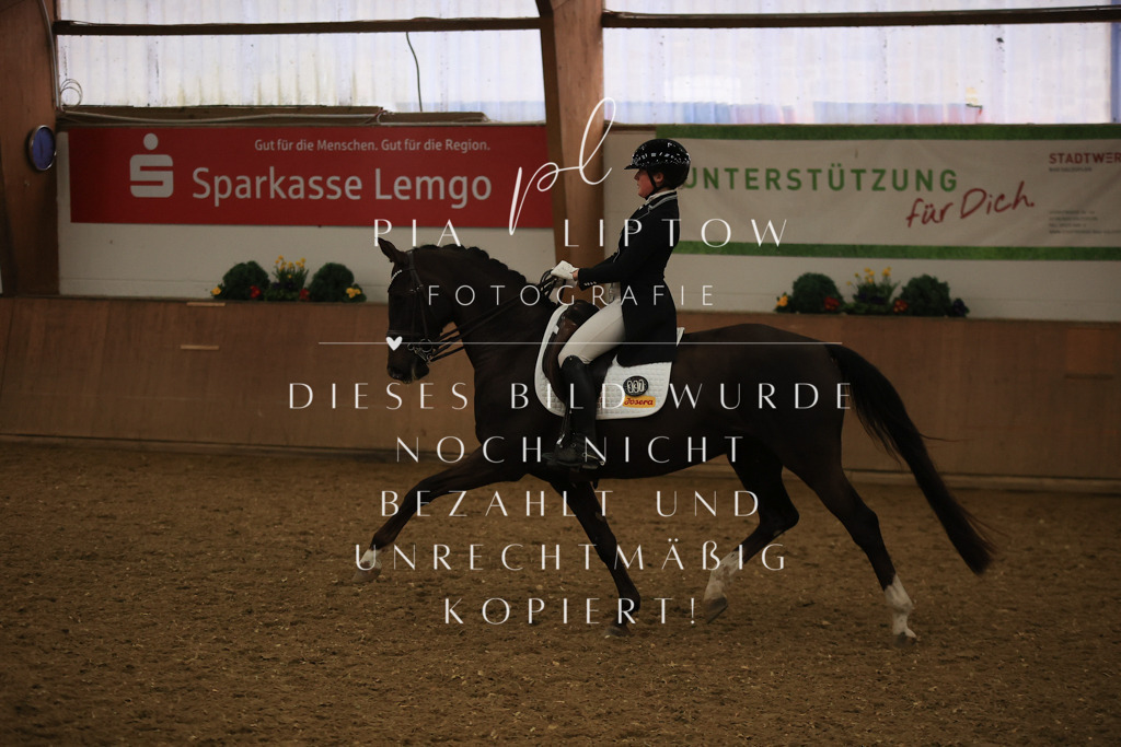 IMGT6241 | pl-fotografie