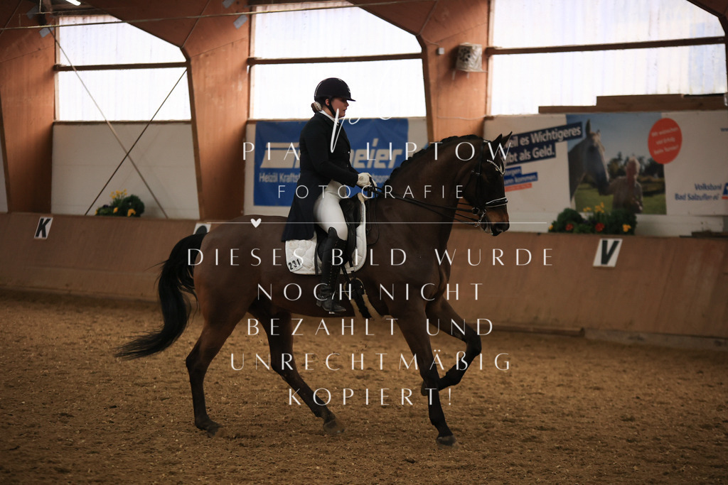 IMGT5670 | pl-fotografie