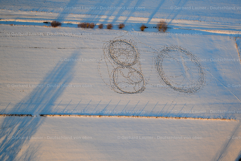 3700249 | Gratulation zum 80zigsten, Spuren im Schnee bei Schornweisach