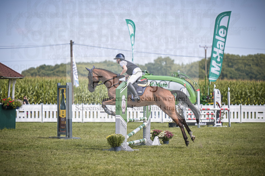 DOS_4245 | Entdecke hochwertige Reitturnierfotos von Foto Oger. Professionell, emotional und authentisch – jetzt Lieblingsmomente im Shop bestellen.Deutschlandweite Turnierfotografie. - Realisiert mit Pictrs.com