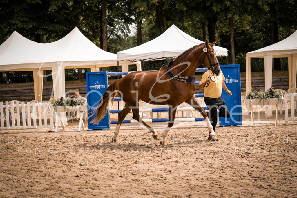 3.Fr00270 | Leoni Ertmer Photography - Realisiert mit Pictrs.com