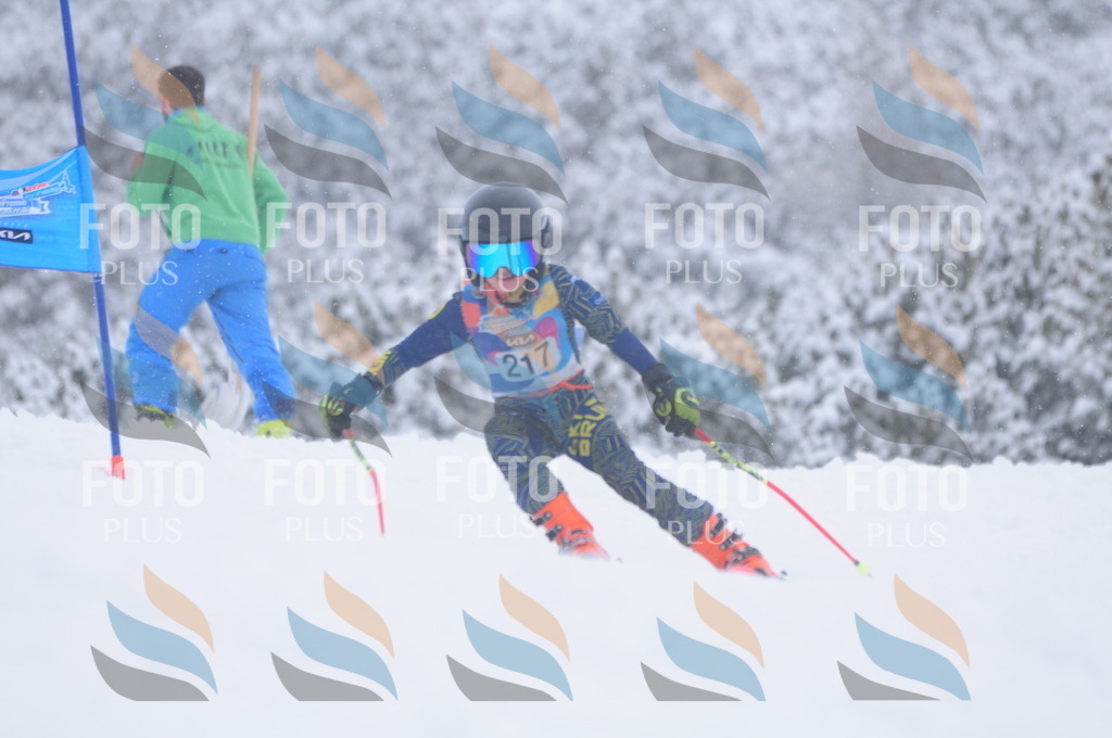 C2313 | holidayphoto