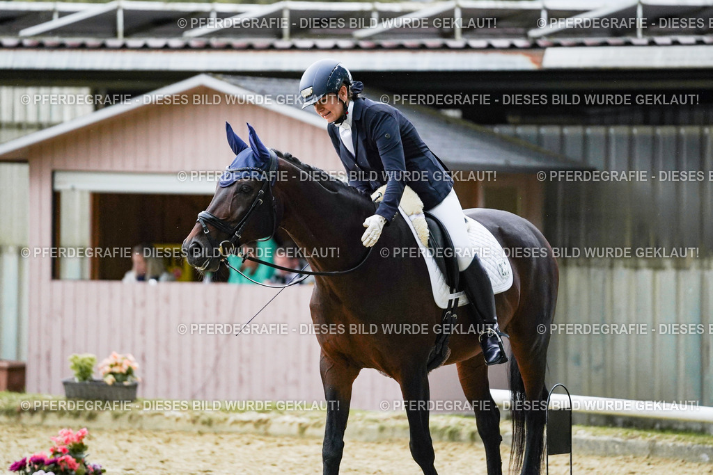 DSC00120 | Pferdegrafie