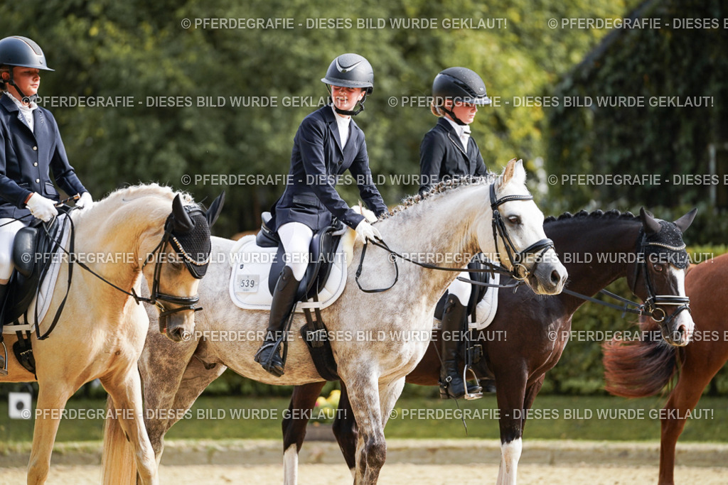 DSC05021 | Pferdegrafie