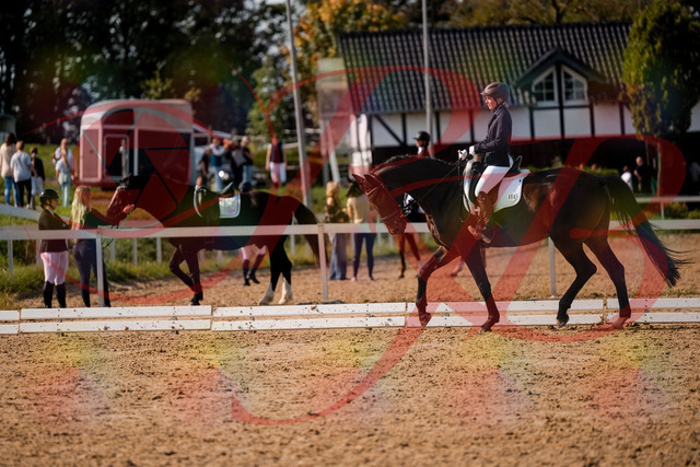 2026_10_03_Siefer-Hof_133441_Z63_93153539 | Professionelle Reitsport-, Turnier- und Eventfotografie von Robert Broda. Galerien mit ausgewählten und bearbeiteten Bildern direkt online ansehen und bestellen.