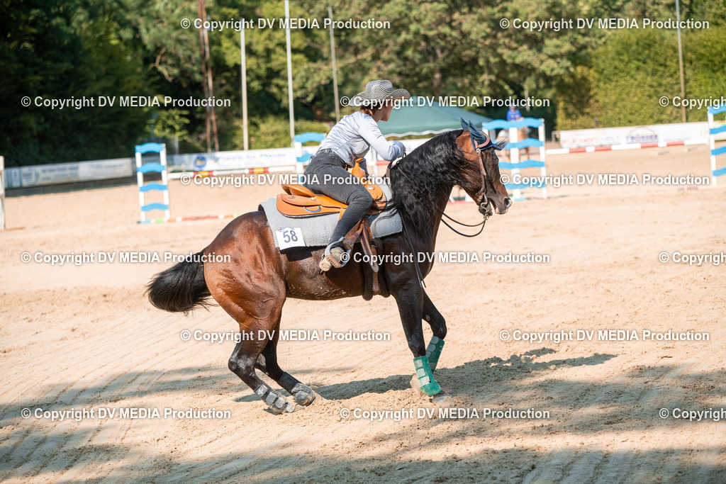 ZS2_8801 | dv-media-shop - Realisiert mit Pictrs.com