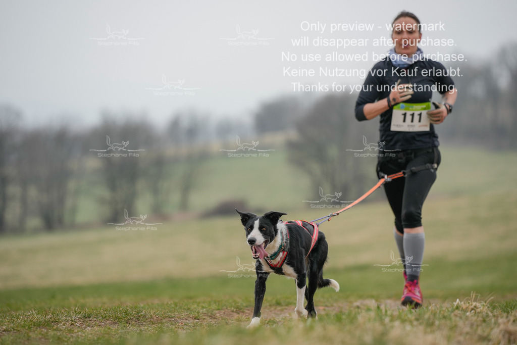 Canixlong-310 | stephaniefillaphotographie - Realisiert mit Pictrs.com