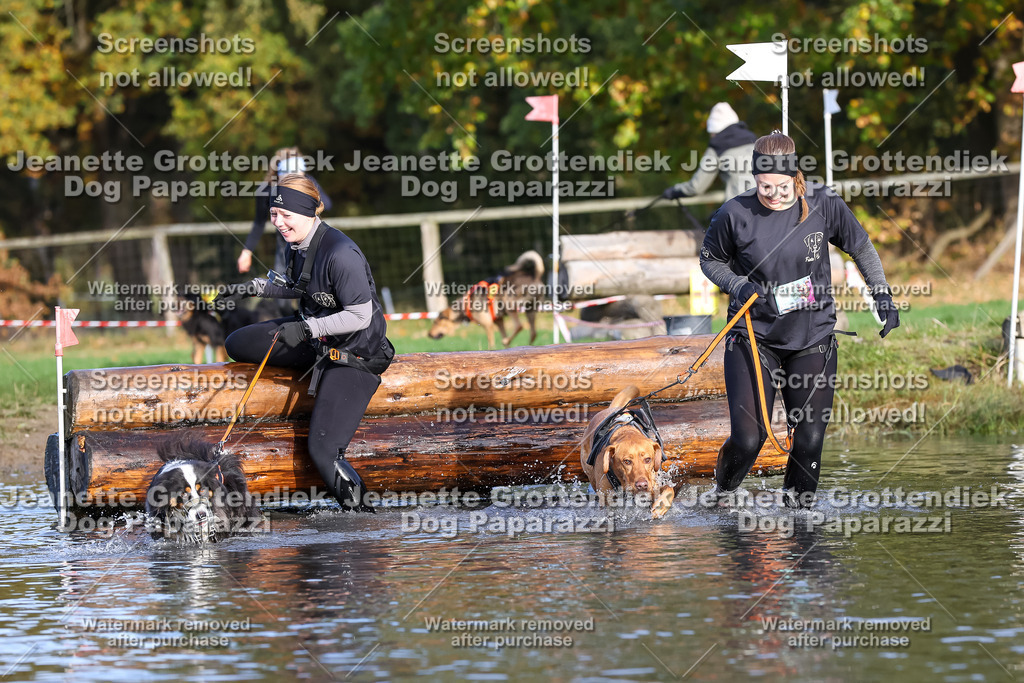 Dog Paparazzi - Strongdog 10-25-8408 | Dog Paparazzi Jeanette Grottendiek Fotografie & Videografie - Realisiert mit Pictrs.com