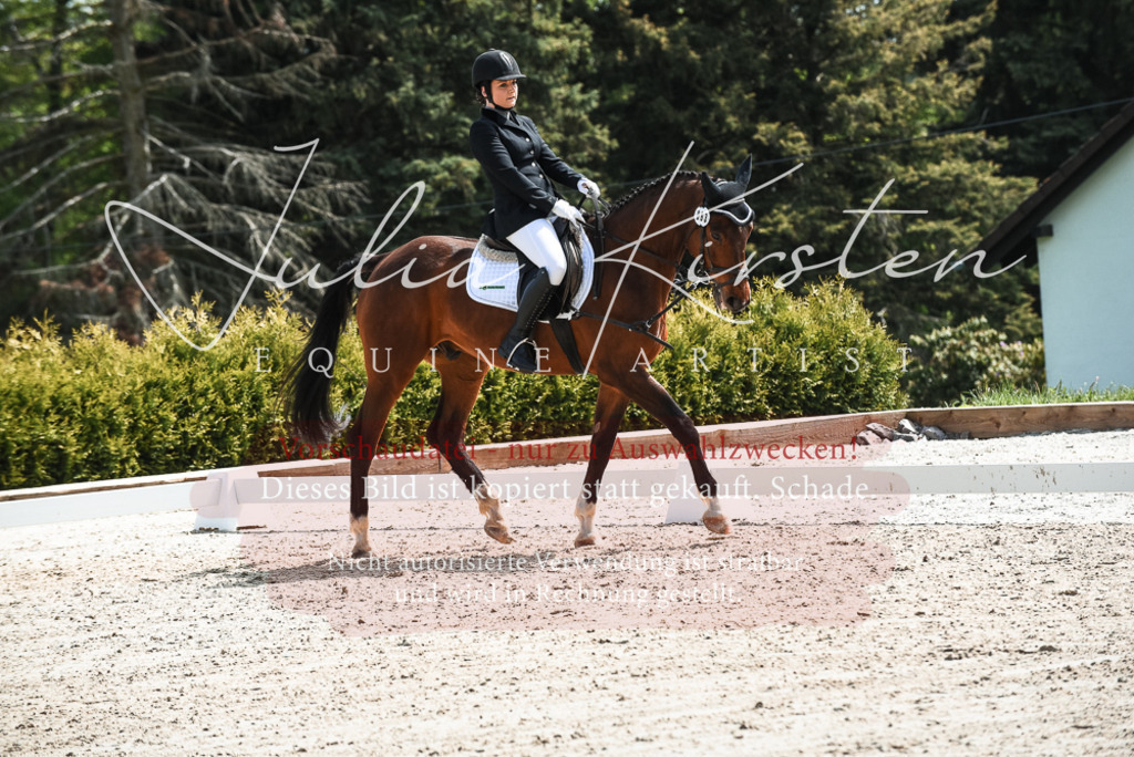 20230518_JK-Röhrsdorf-11-0448 | Pferde- und Turnierfotografie in Westsachsen. Pferdeportraits, Auftragszeichnungen und intuitive Kunst.