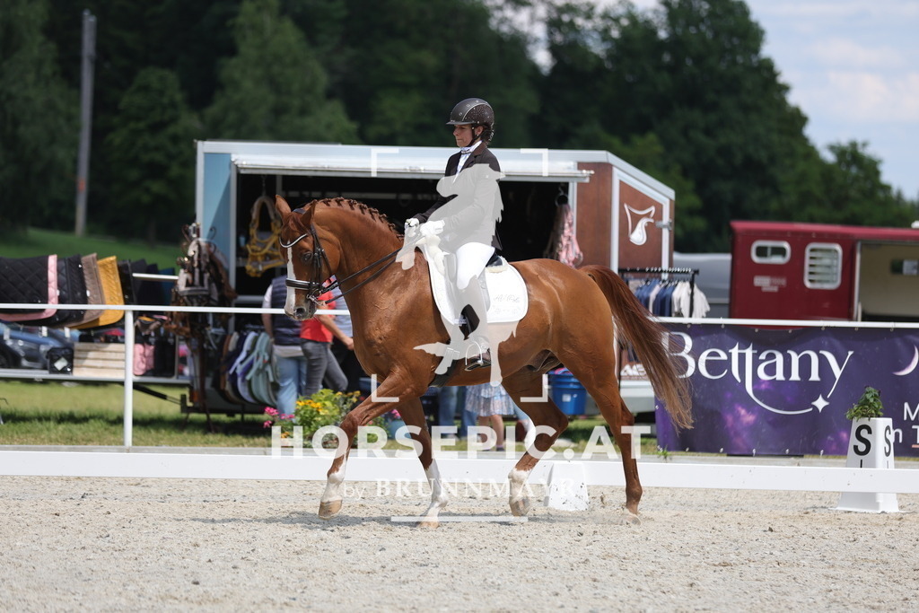 0P6A1457 | Willkommen bei Brunnmayr - Design & Fotografie – Ihrem Spezialisten für Reitturniere und Pferdeveranstaltungen in Oberösterreich, Salzburg und Bayern! Seit über 17 Jahren sind wir leidenschaftlich dabei.