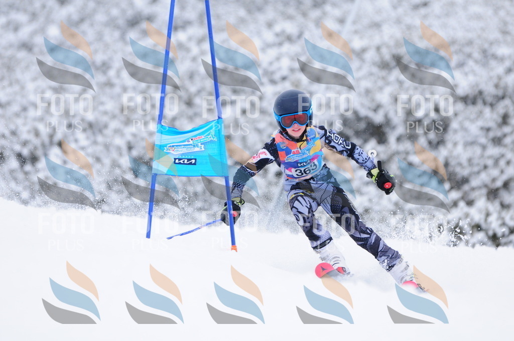 C3870 | holidayphoto