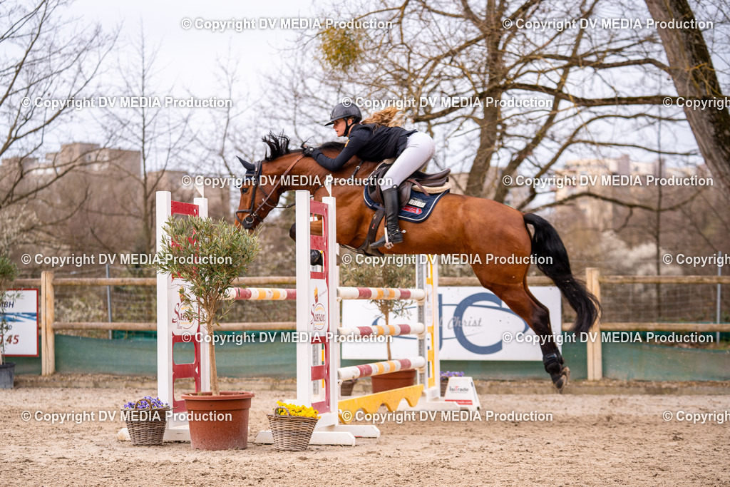 Kranichstein Tag 2-431 | dv-media-shop - Realisiert mit Pictrs.com