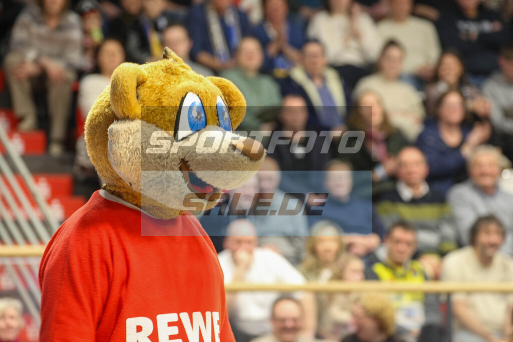 Phoenix Hagen Saison 25/26 - © Sportfoto-Sale (MK) | Maskottchen Fipps - Phoenix Hagen Saison 25/26 - © Sportfoto-Sale (MK) - Realisiert mit Pictrs.com