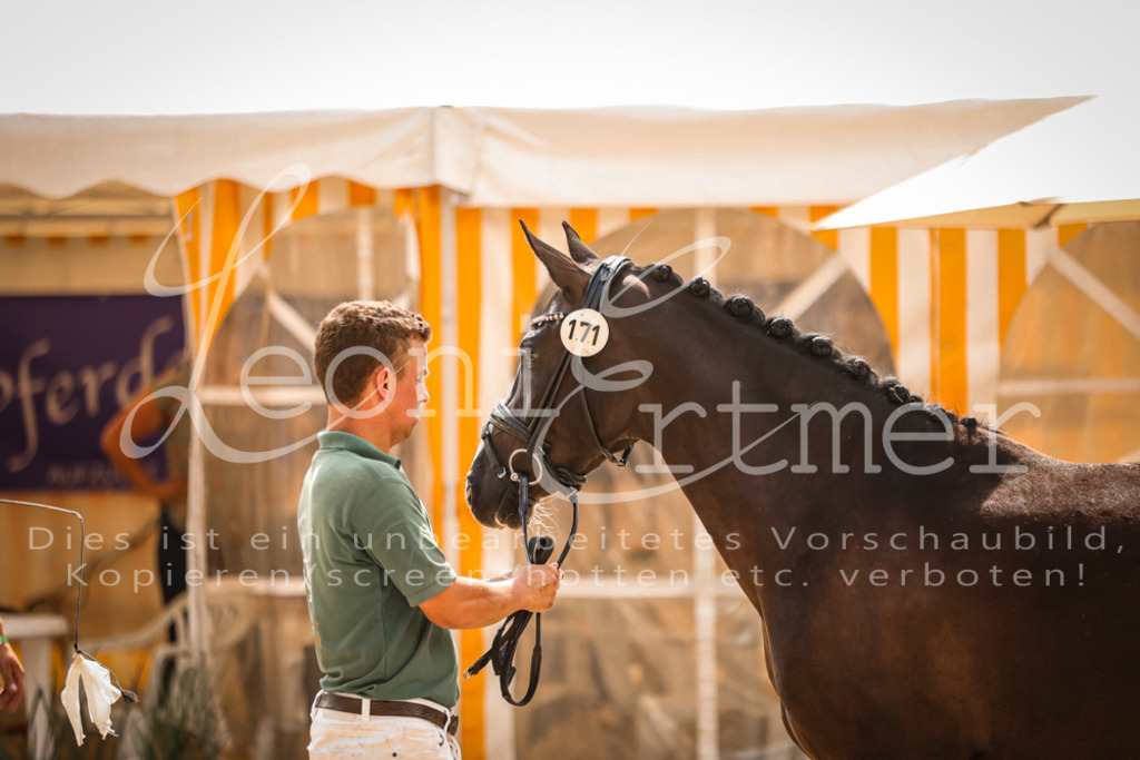 11.So00081 | Leoni Ertmer Photography - Realisiert mit Pictrs.com