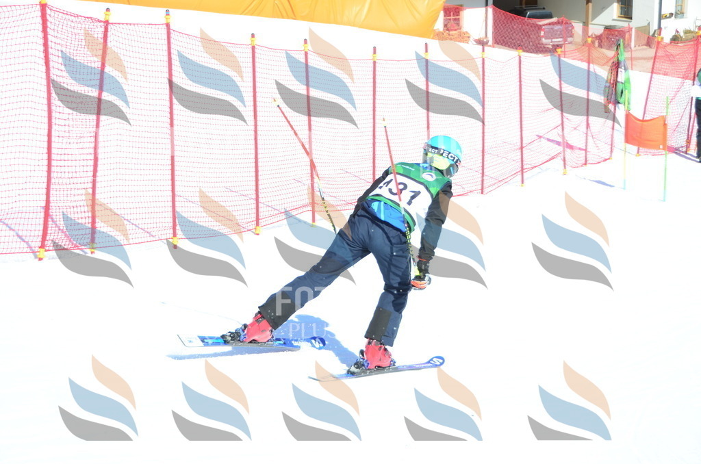 C5974 | holidayphoto