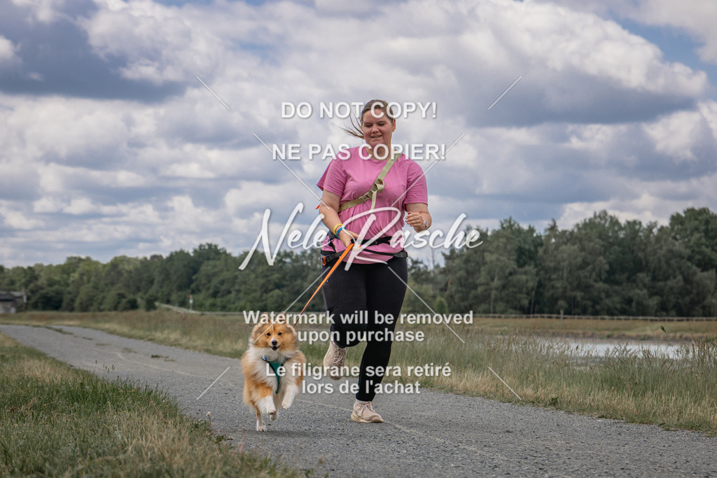nelerasche_BuHu2026_SaCC1100-1200_113 | nelerasche