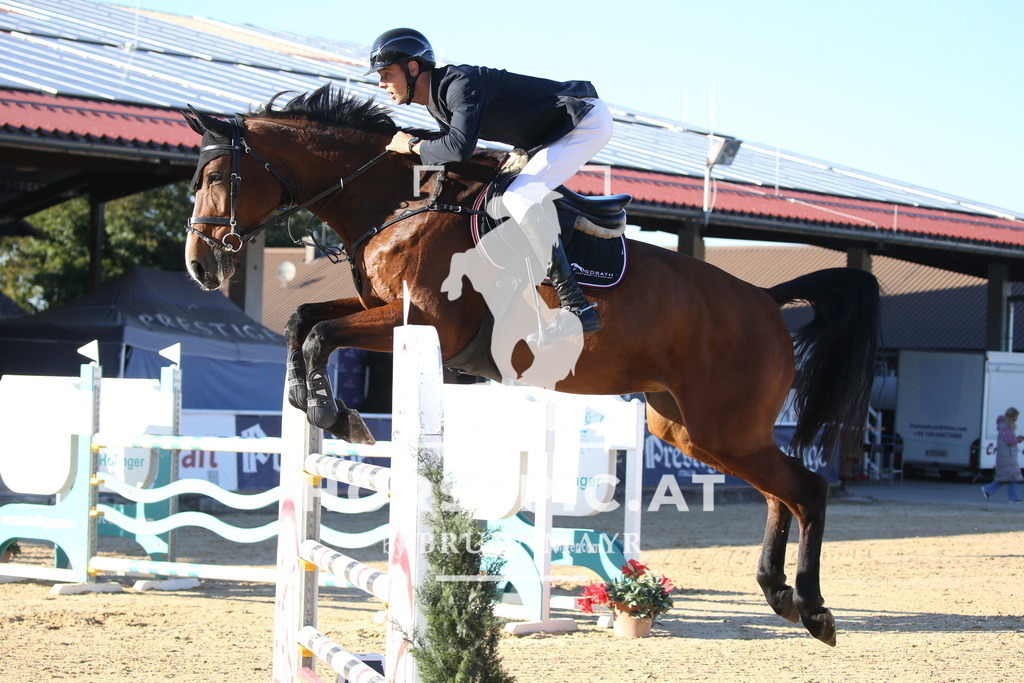 DL2Q4318 | Willkommen bei Brunnmayr - Design & Fotografie – Ihrem Spezialisten für Reitturniere und Pferdeveranstaltungen in Oberösterreich, Salzburg und Bayern! Seit über 17 Jahren sind wir leidenschaftlich dabei.