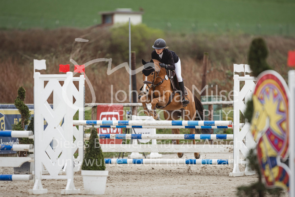 240330_Fruehlingsfest_Stil-A2-2-756 | Deine schönsten Turniermomente als professionelle Fotos! Entdecke hochwertige Pferdesport-Fotografie im Online-Shop. Jetzt Fotos finden & bestellen!