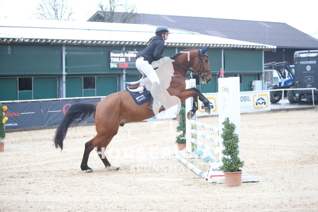 AS8V1685 | Willkommen bei Brunnmayr - Design & Fotografie – Ihrem Spezialisten für Reitturniere und Pferdeveranstaltungen in Oberösterreich, Salzburg und Bayern! Seit über 17 Jahren sind wir leidenschaftlich dabei.