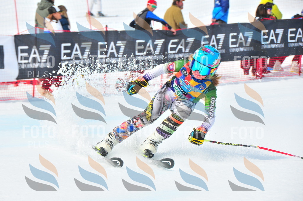 DSC_2706 | holidayphoto