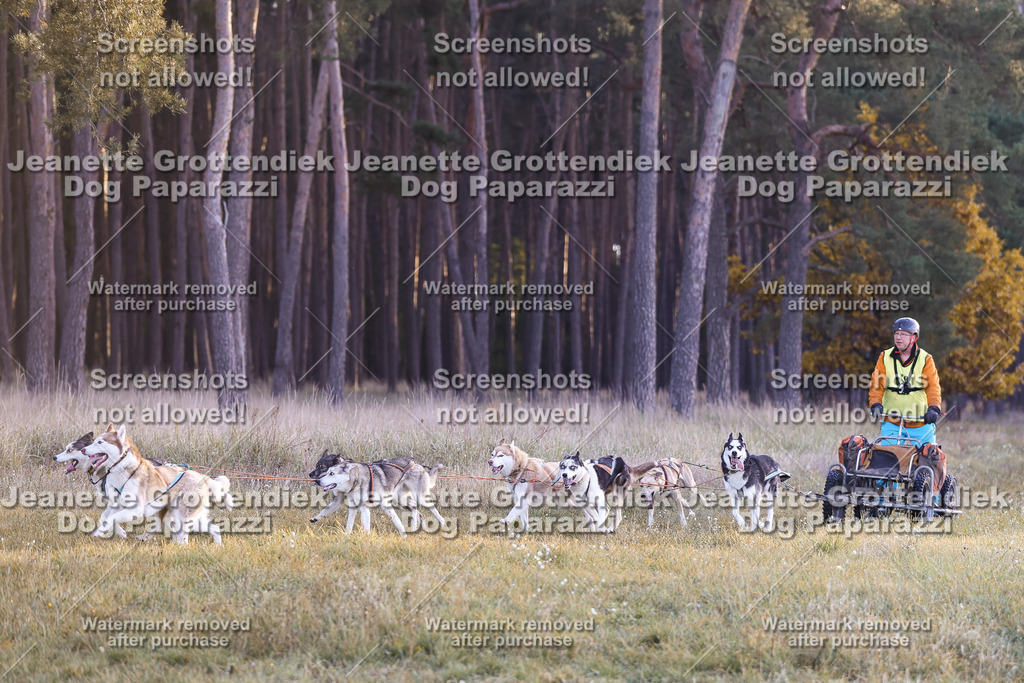 Dog Paparazzi - Elsholz 25 -20 | Dog Paparazzi Jeanette Grottendiek Fotografie & Videografie - Realisiert mit Pictrs.com