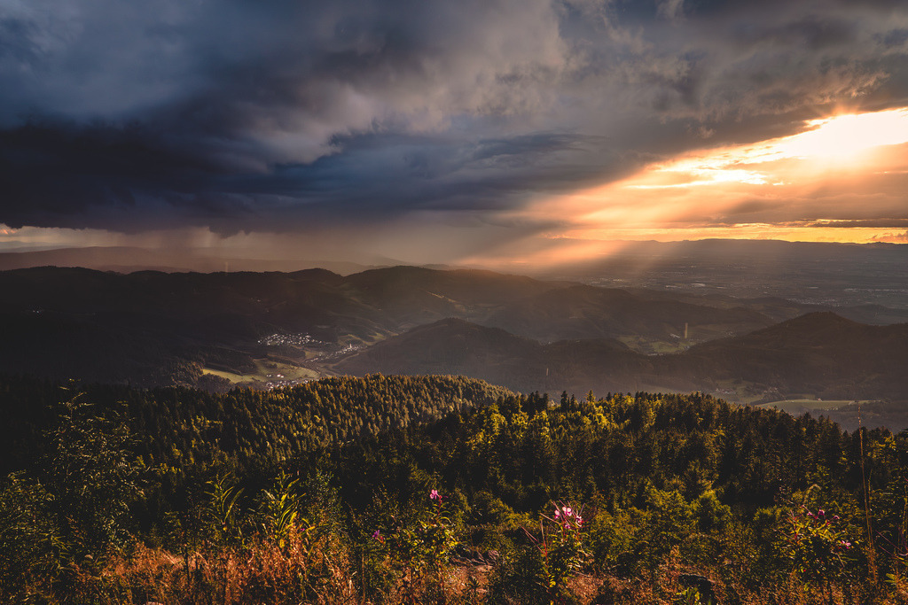 Das Achertal im Nordschwarzwald | Blick von der Hornisgrinde im Nationalpark Schwarzwald auf das Achertal - Realisiert mit Pictrs.com