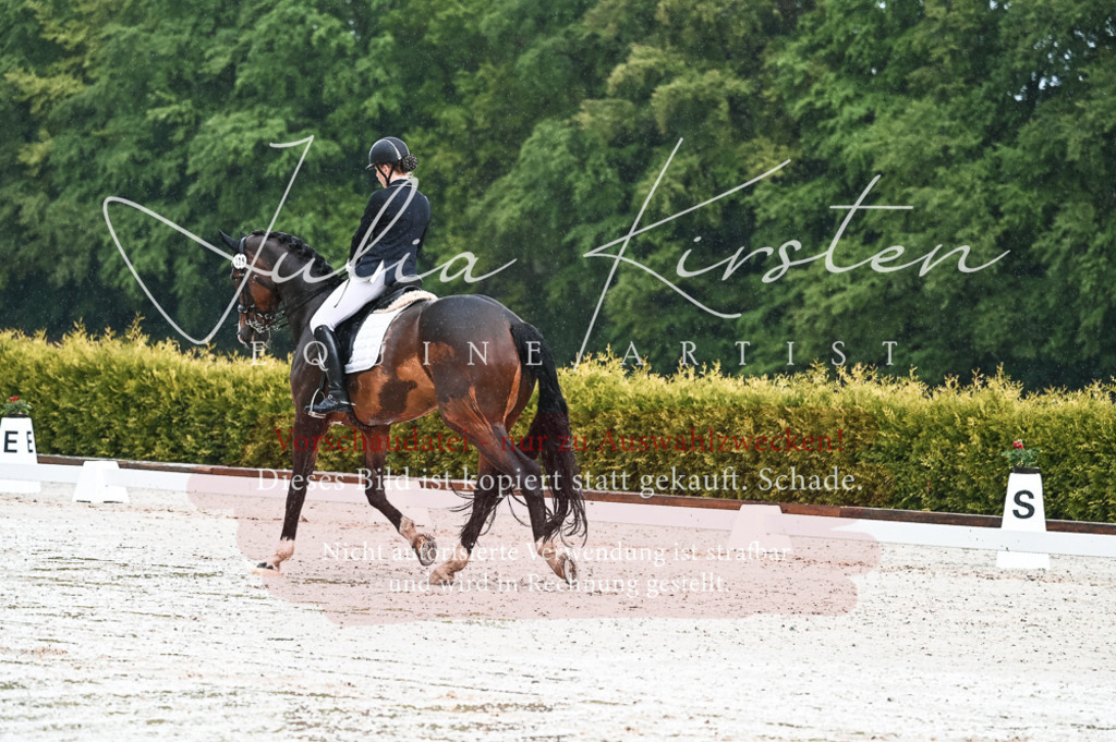 DSC_4143 | Pferde- und Turnierfotografie in Westsachsen. Pferdeportraits, Auftragszeichnungen und intuitive Kunst.
