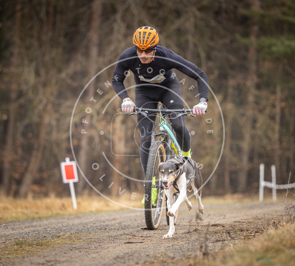 DV3A3189 | Hundefotografie, Tierfotograf, Pfotenfotografie, Fotoshooting Hund, Hunde Portrait, Hundesport, Hundeportraits, Heideshooting, Hunde, Sportfotograf, Hundefotograf, Turnierhundsport, THS,  - Realisiert mit Pictrs.com