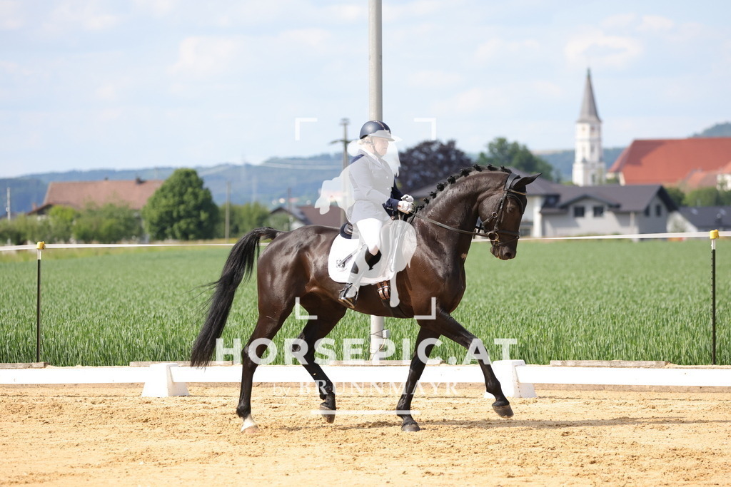 0P6A9084 | Willkommen bei Brunnmayr - Design & Fotografie – Ihrem Spezialisten für Reitturniere und Pferdeveranstaltungen in Oberösterreich, Salzburg und Bayern! Seit über 17 Jahren sind wir leidenschaftlich dabei.