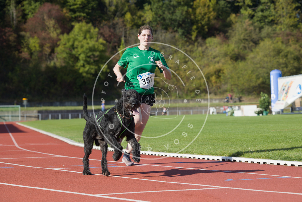 0L8A9638 | Hundefotografie, Tierfotograf, Pfotenfotografie, Fotoshooting Hund, Hunde Portrait, Hundesport, Hundeportraits, Heideshooting, Hunde, Sportfotograf, Hundefotograf, Turnierhundsport, THS,  - Realisiert mit Pictrs.com