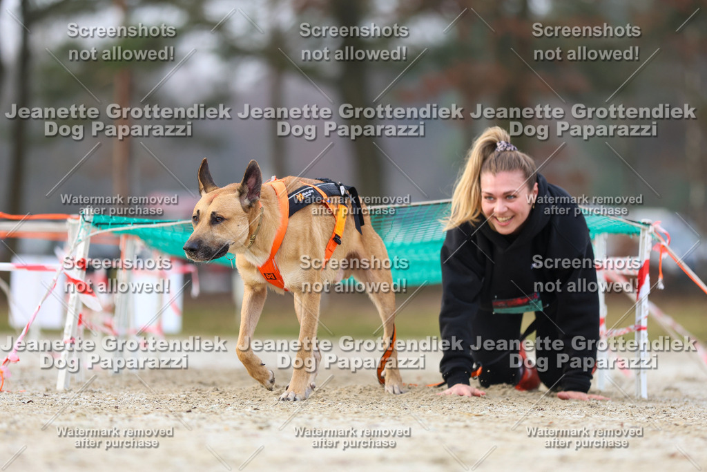 Dog Paparazzi - Strongdog North Mrz26-3799 | Dog Paparazzi Jeanette Grottendiek Fotografie & Videografie - Realisiert mit Pictrs.com