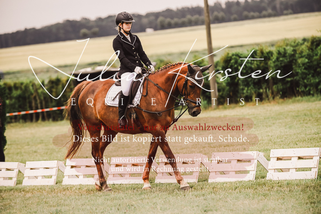 DSC_4789 | Pferde- und Turnierfotografie in Westsachsen. Pferdeportraits, Auftragszeichnungen und intuitive Kunst.