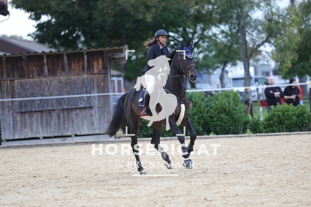 0P6A0140 | Willkommen bei Brunnmayr - Design & Fotografie – Ihrem Spezialisten für Reitturniere und Pferdeveranstaltungen in Oberösterreich, Salzburg und Bayern! Seit über 17 Jahren sind wir leidenschaftlich dabei.