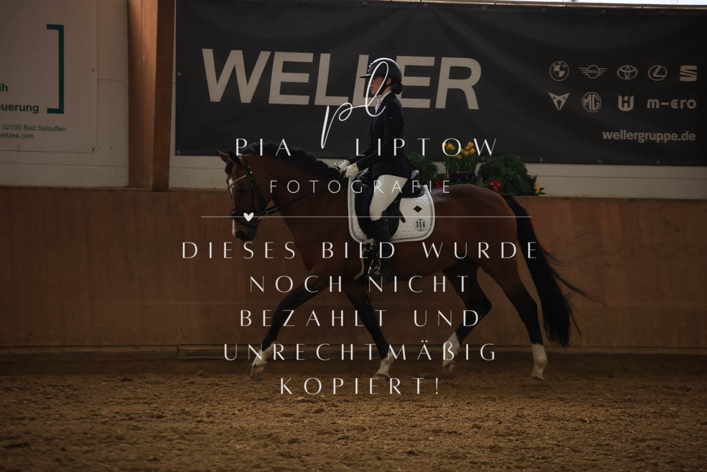 IMGT0177 | pl-fotografie